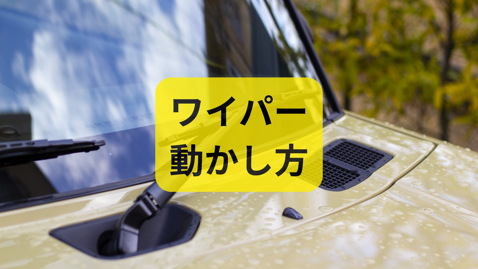 車のワイパーの正しい動かし方・使い方を徹底解説！国産車と輸入車の違いも紹介